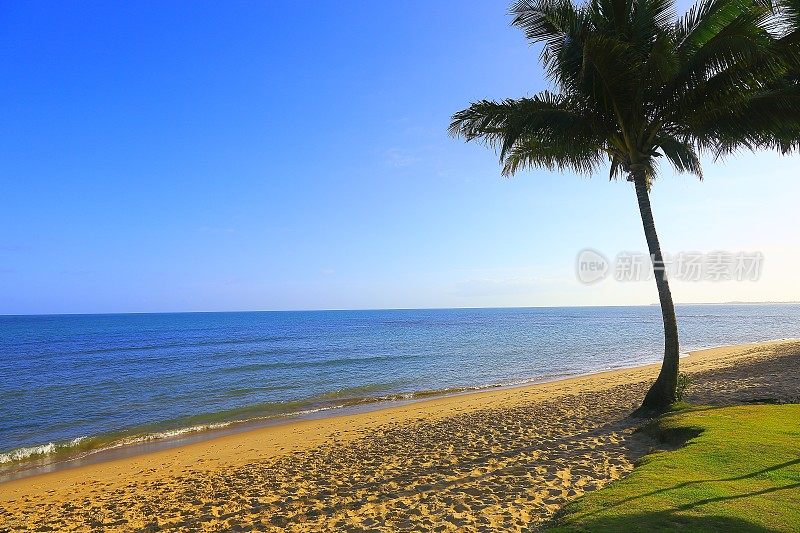 热带天堂:田园般的Praia do Forte海滩，巴伊亚州，巴西